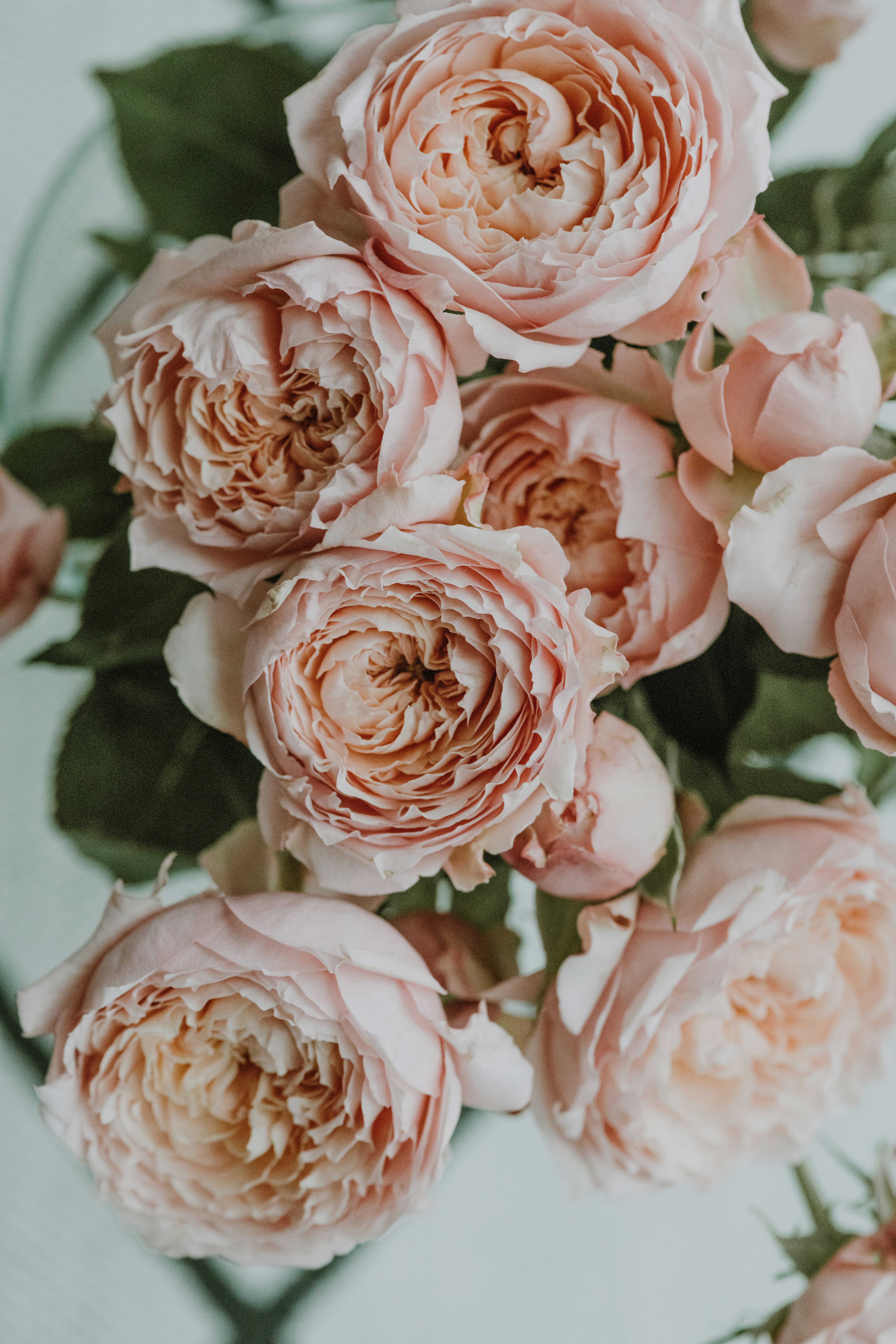 Photo by anitaaustvika