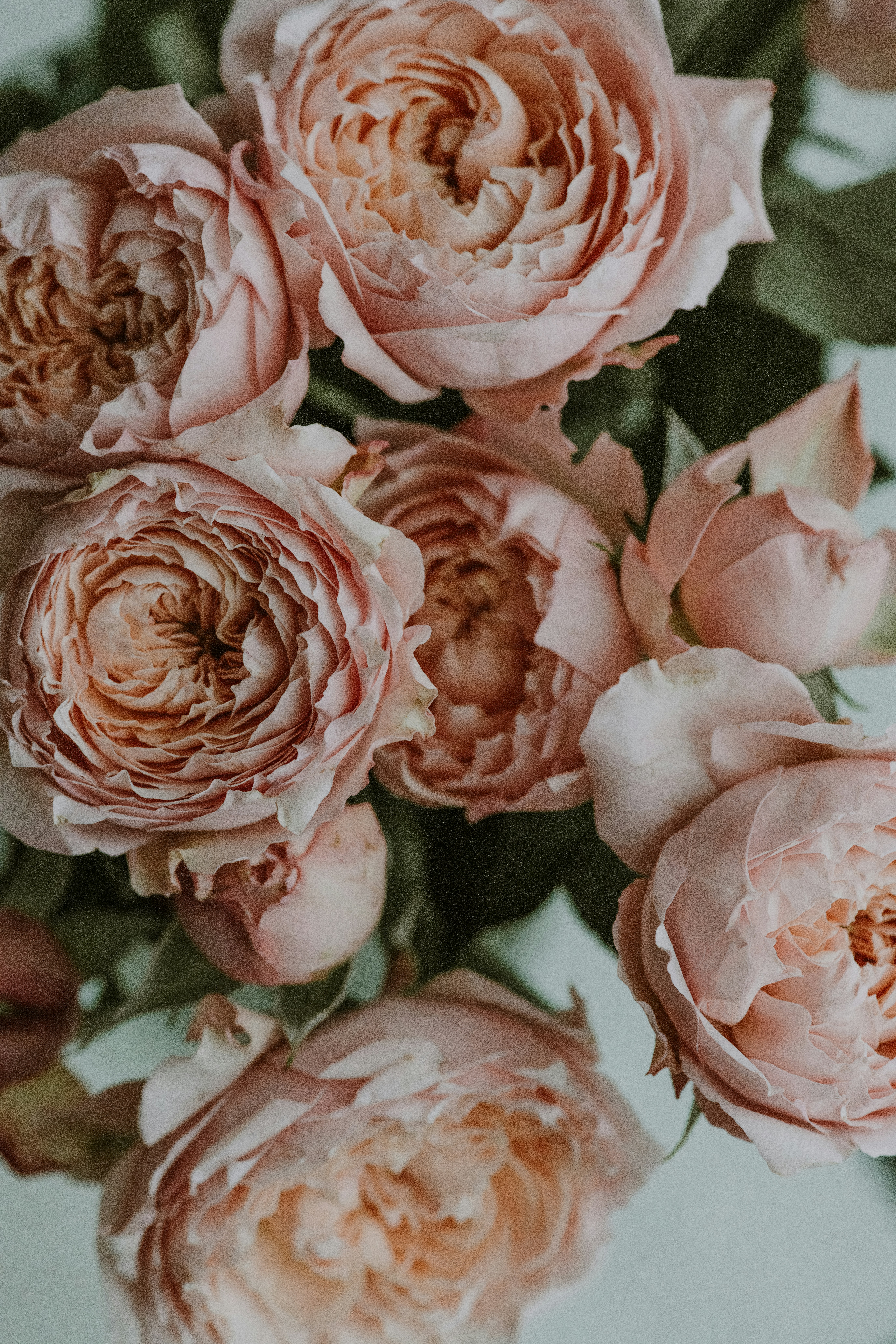 Photo by anitaaustvika