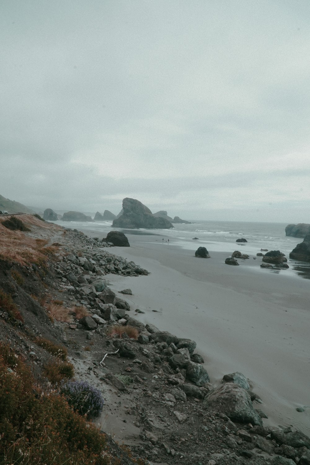 Una playa con rocas y plantas en la orilla