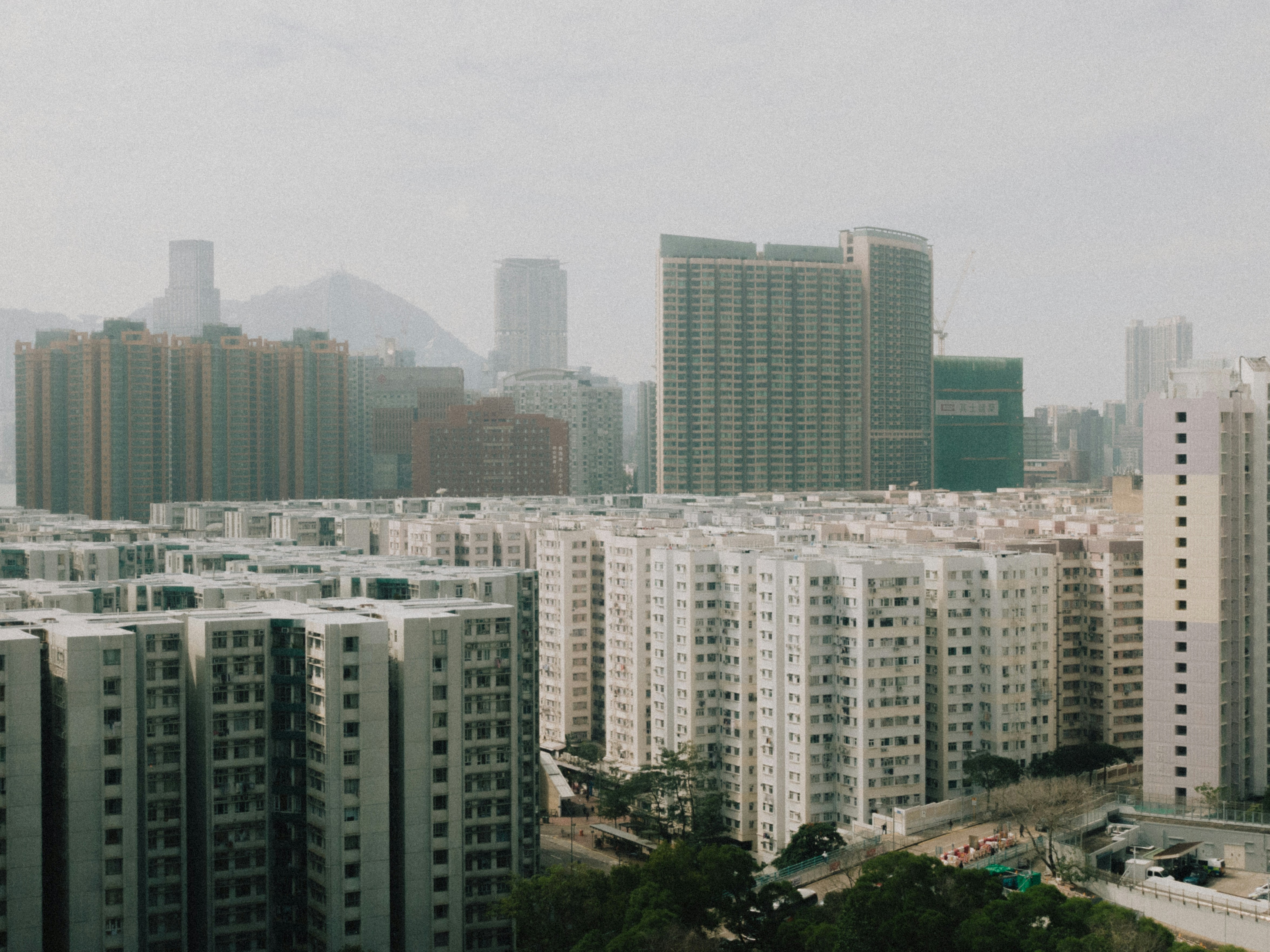 Photo by catgirlmutant