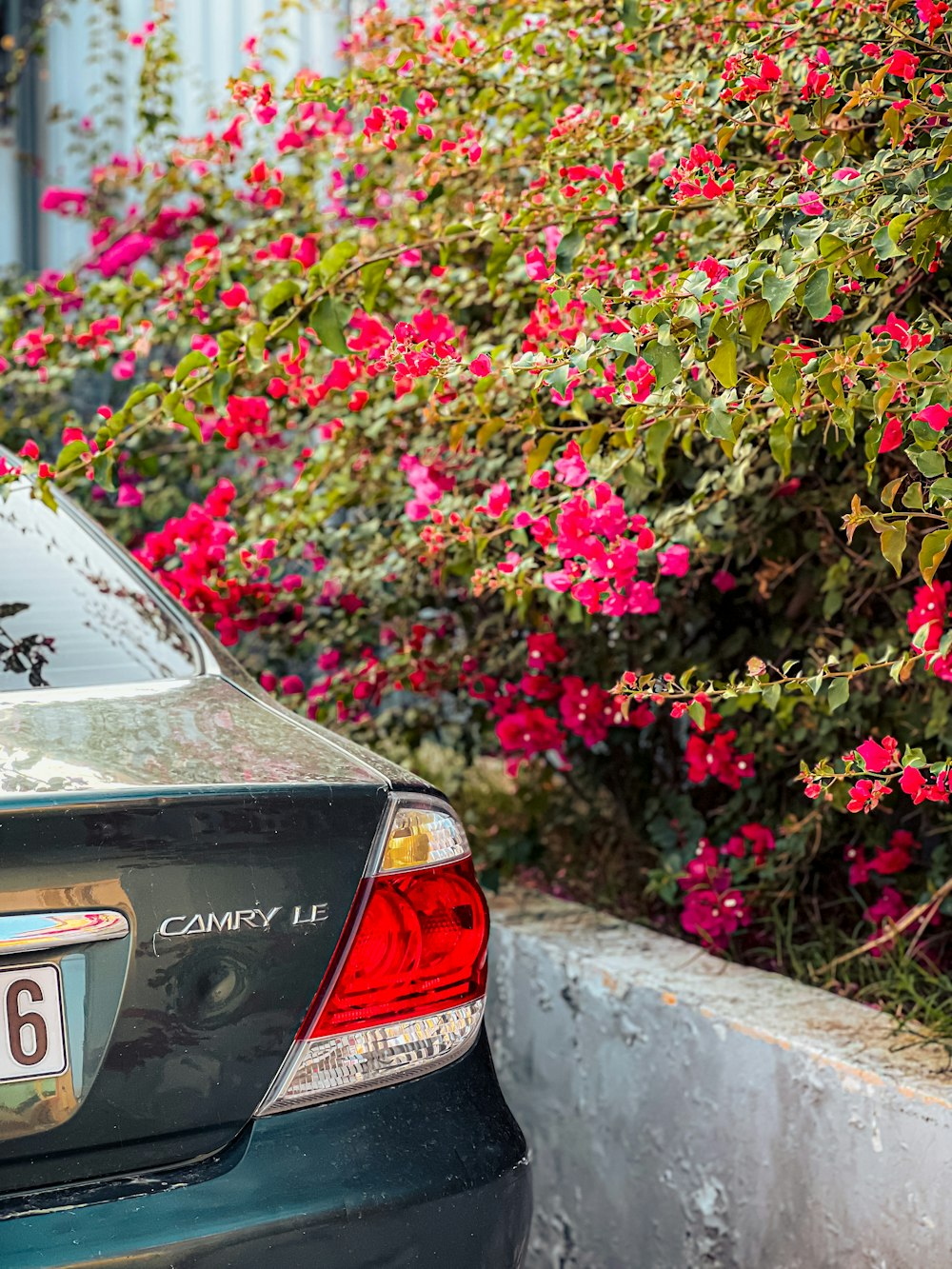 a car parked next to a bush with pink flowers