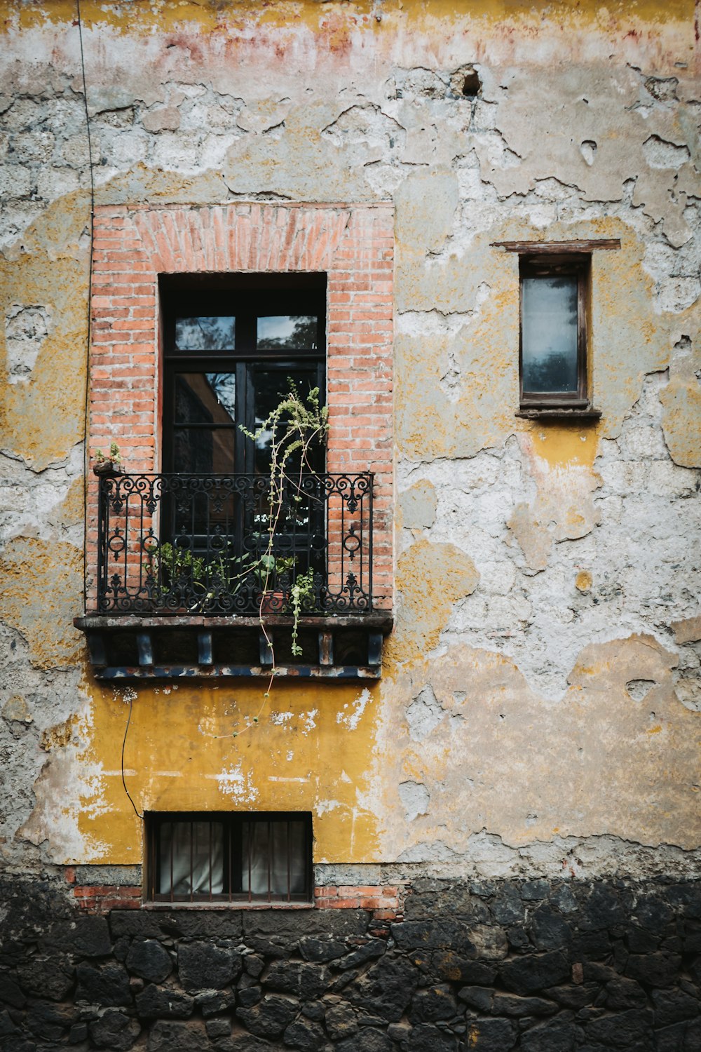 a building with a window and a balcony with a plant growing out of it