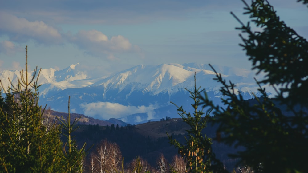 a view of a mountain range from a distance