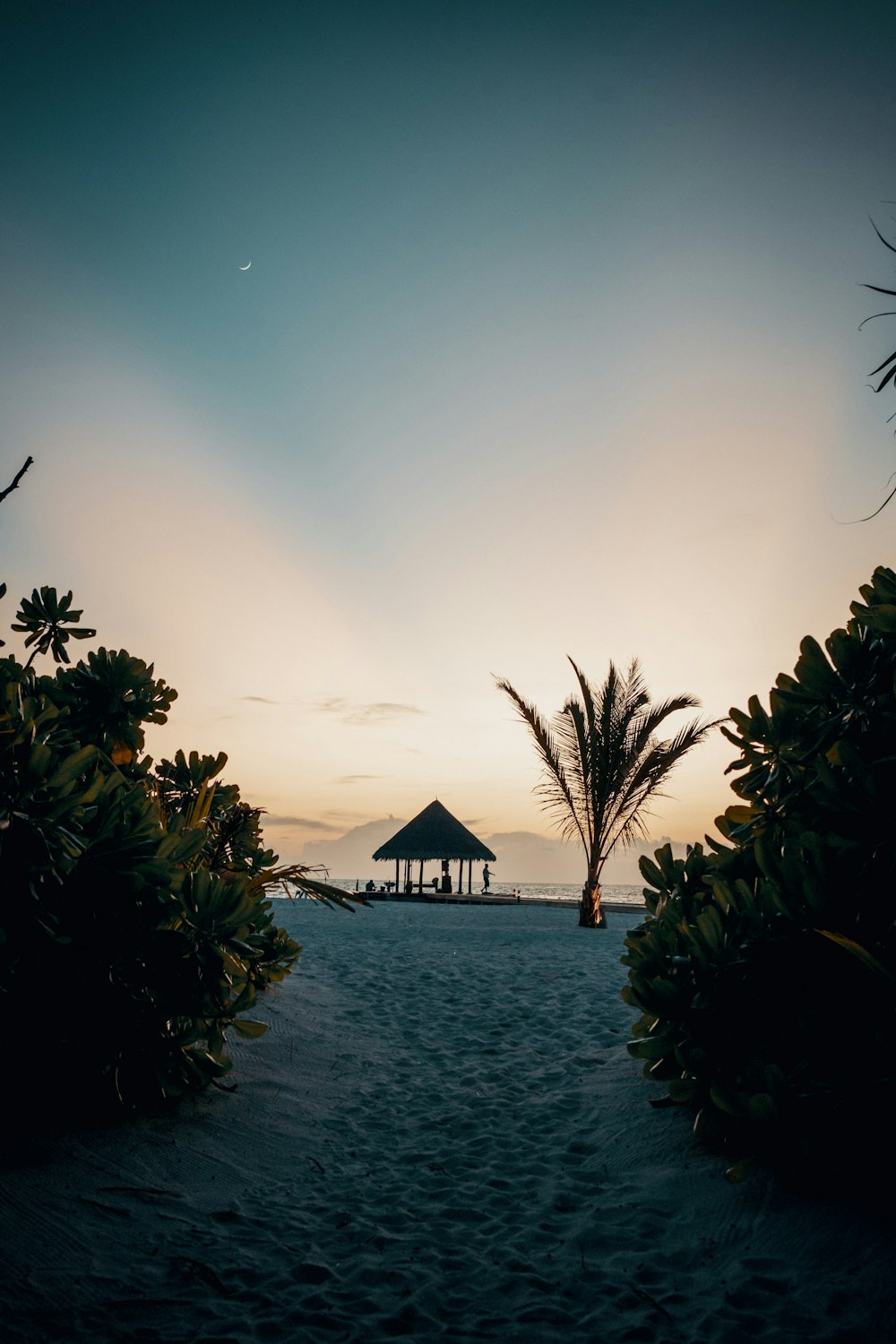 the sun is setting on the beach with palm trees