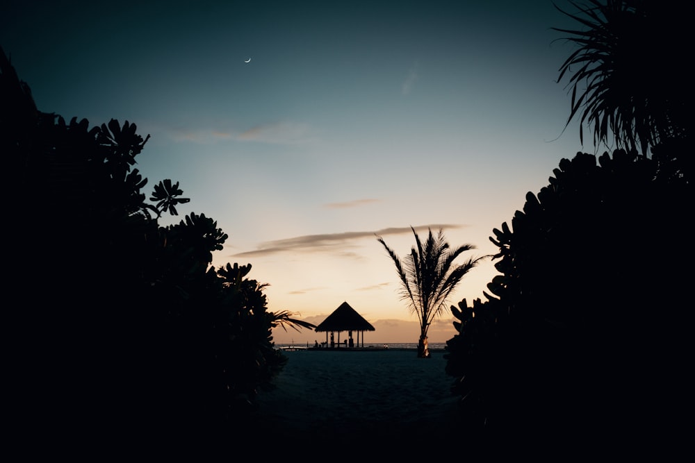 a silhouette of a hut and palm trees at sunset