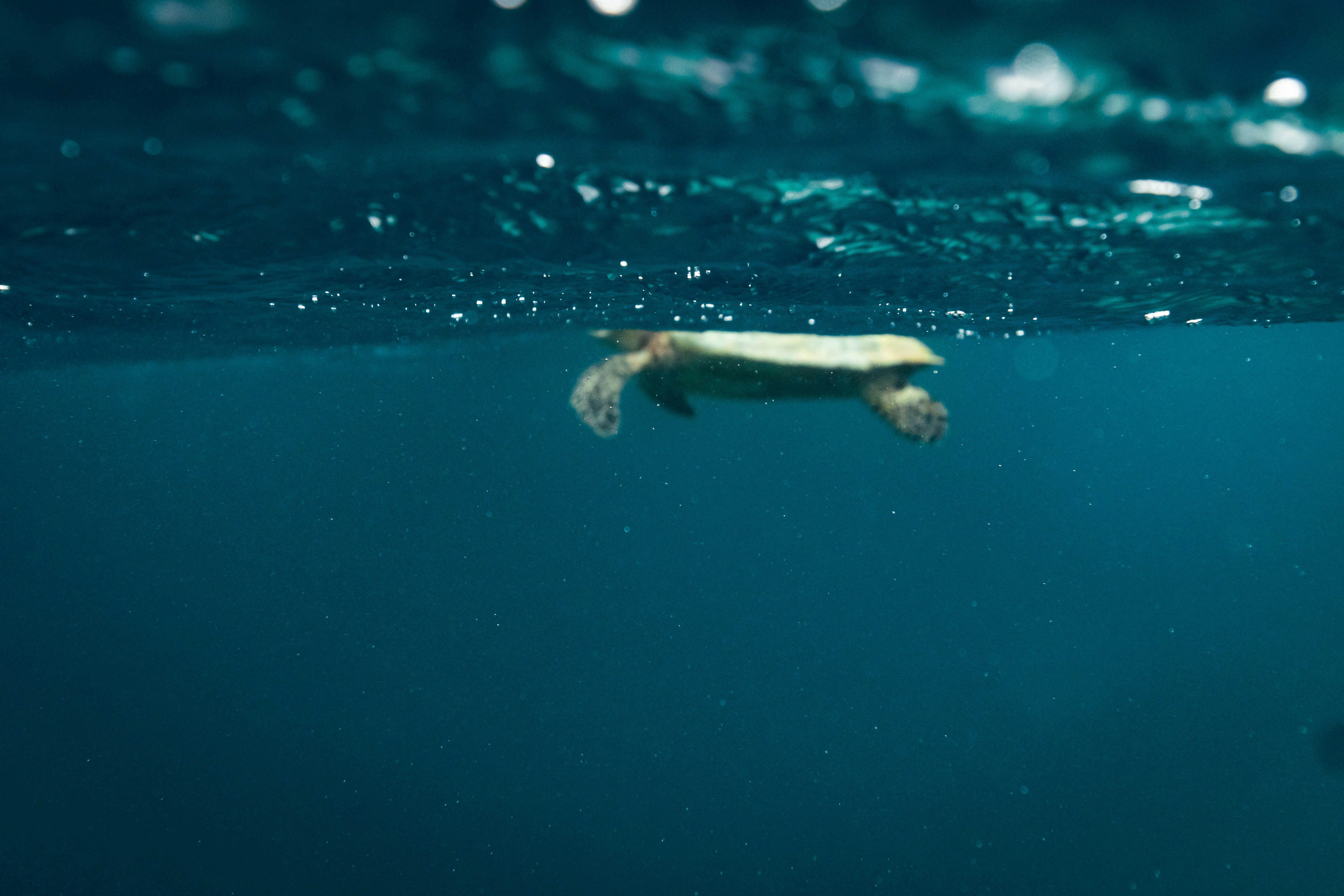 Photo by jhvisuals_de