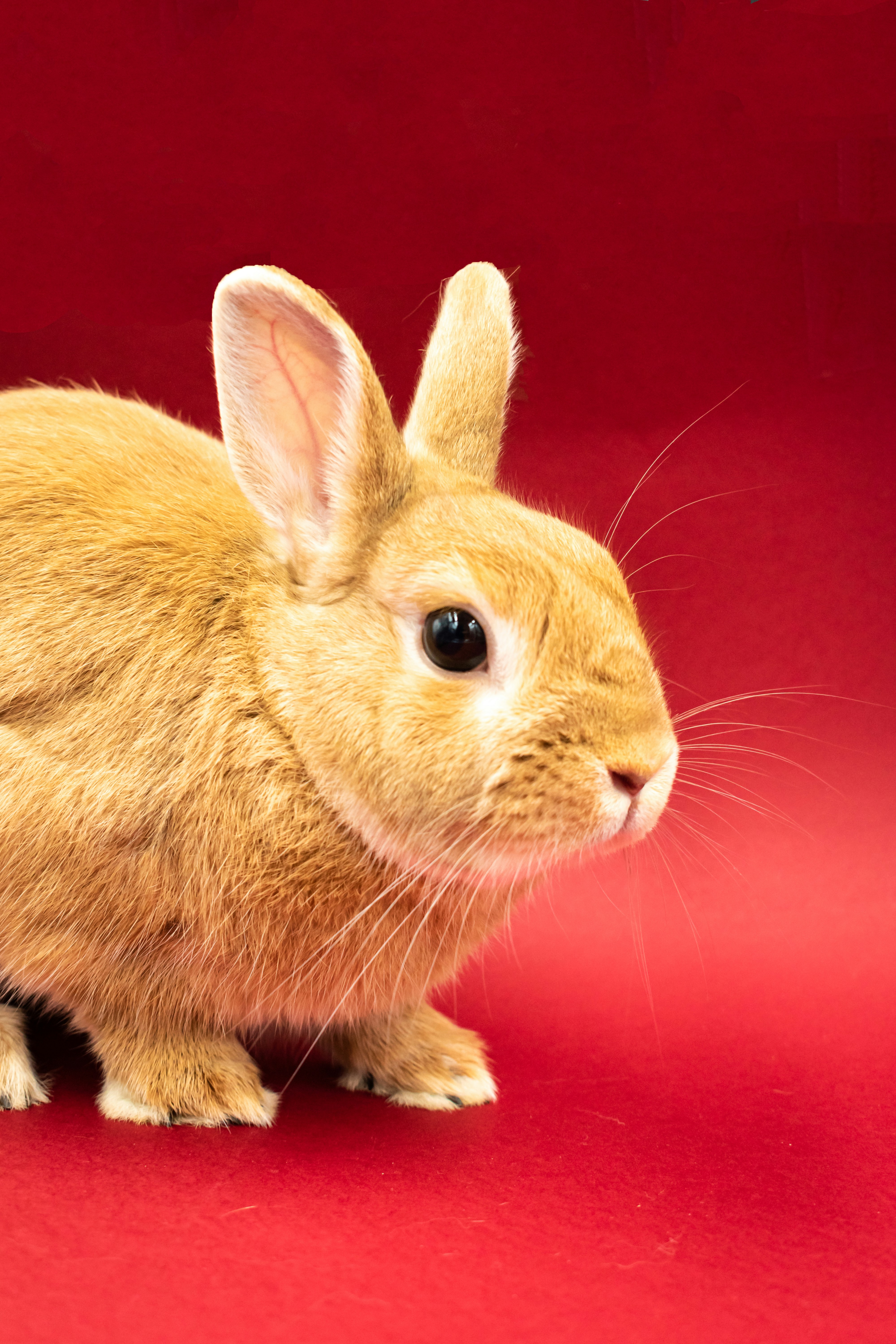 Photo by niki_emmert