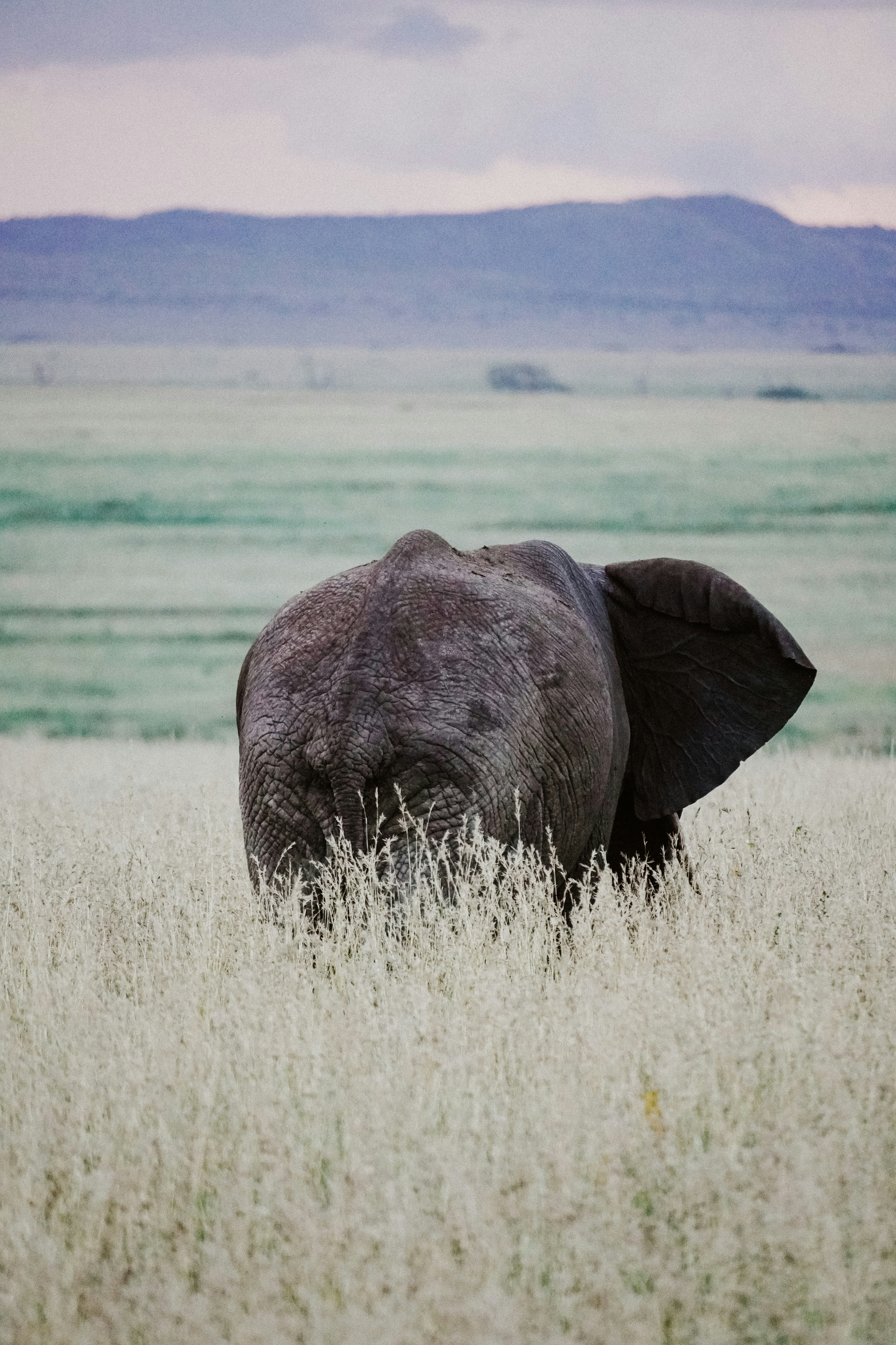 Photo by aileentravel