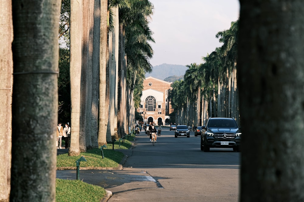 a street lined with palm trees and tall buildings