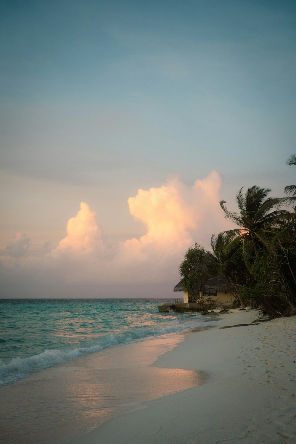 une plage avec des palmiers et une cabane au loin