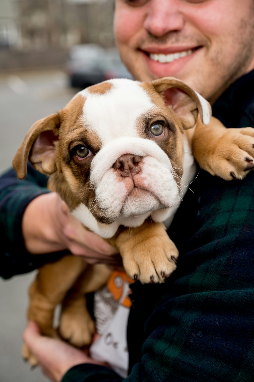 a man holding a small brown and white dog