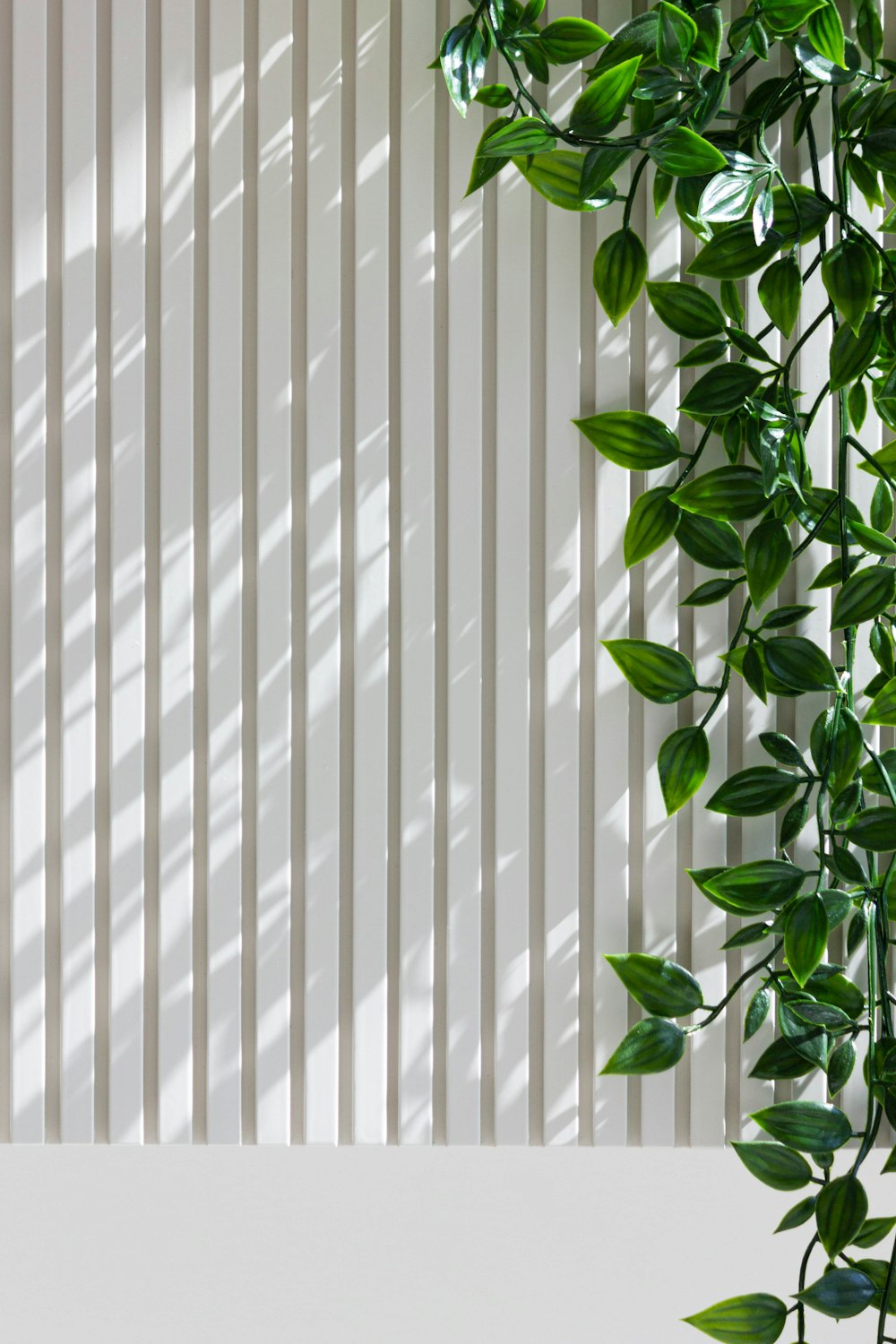 a white wall with a green plant next to it