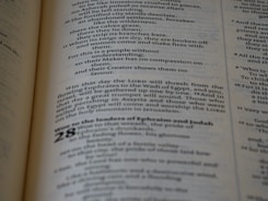 A close-up view of a printed text on a page, featuring paragraphs and sections with numbering. The text is laid out in columns, utilizing various font sizes and styles to denote different sections.