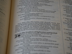 Close-up of a document being formatted with precise alignment and style options.