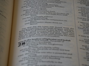 A close-up view of a printed text on a page, featuring paragraphs and sections with numbering. The text is laid out in columns, utilizing various font sizes and styles to denote different sections.