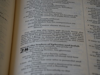 A close-up view of a printed text on a page, featuring paragraphs and sections with numbering. The text is laid out in columns, utilizing various font sizes and styles to denote different sections.