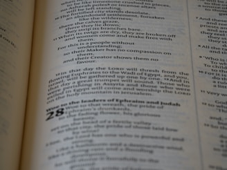 A close-up view of a printed text on a page, featuring paragraphs and sections with numbering. The text is laid out in columns, utilizing various font sizes and styles to denote different sections.