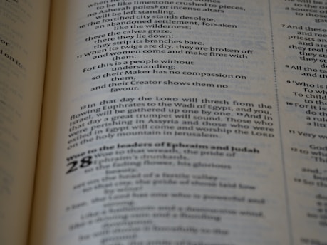 A close-up view of a printed text on a page, featuring paragraphs and sections with numbering. The text is laid out in columns, utilizing various font sizes and styles to denote different sections.