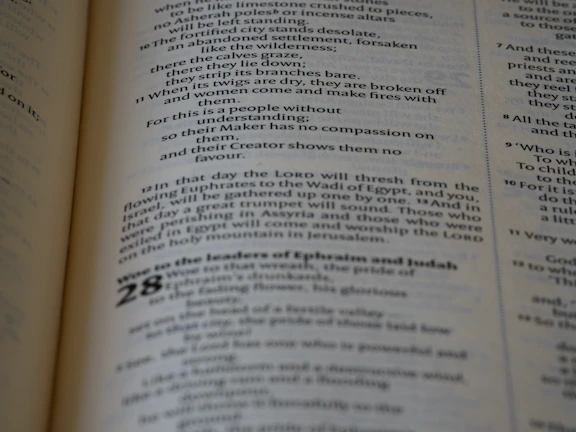 Close-up of conference proceedings being prepared with editorial and formatting precision