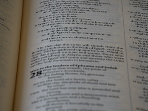 A close-up view of a printed text on a page, featuring paragraphs and sections with numbering. The text is laid out in columns, utilizing various font sizes and styles to denote different sections.