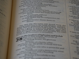 A close-up view of a printed text on a page, featuring paragraphs and sections with numbering. The text is laid out in columns, utilizing various font sizes and styles to denote different sections.