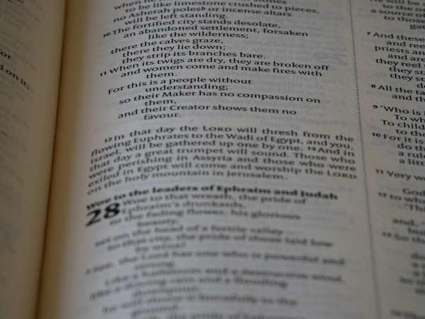 The Importance of Document Format in Communication