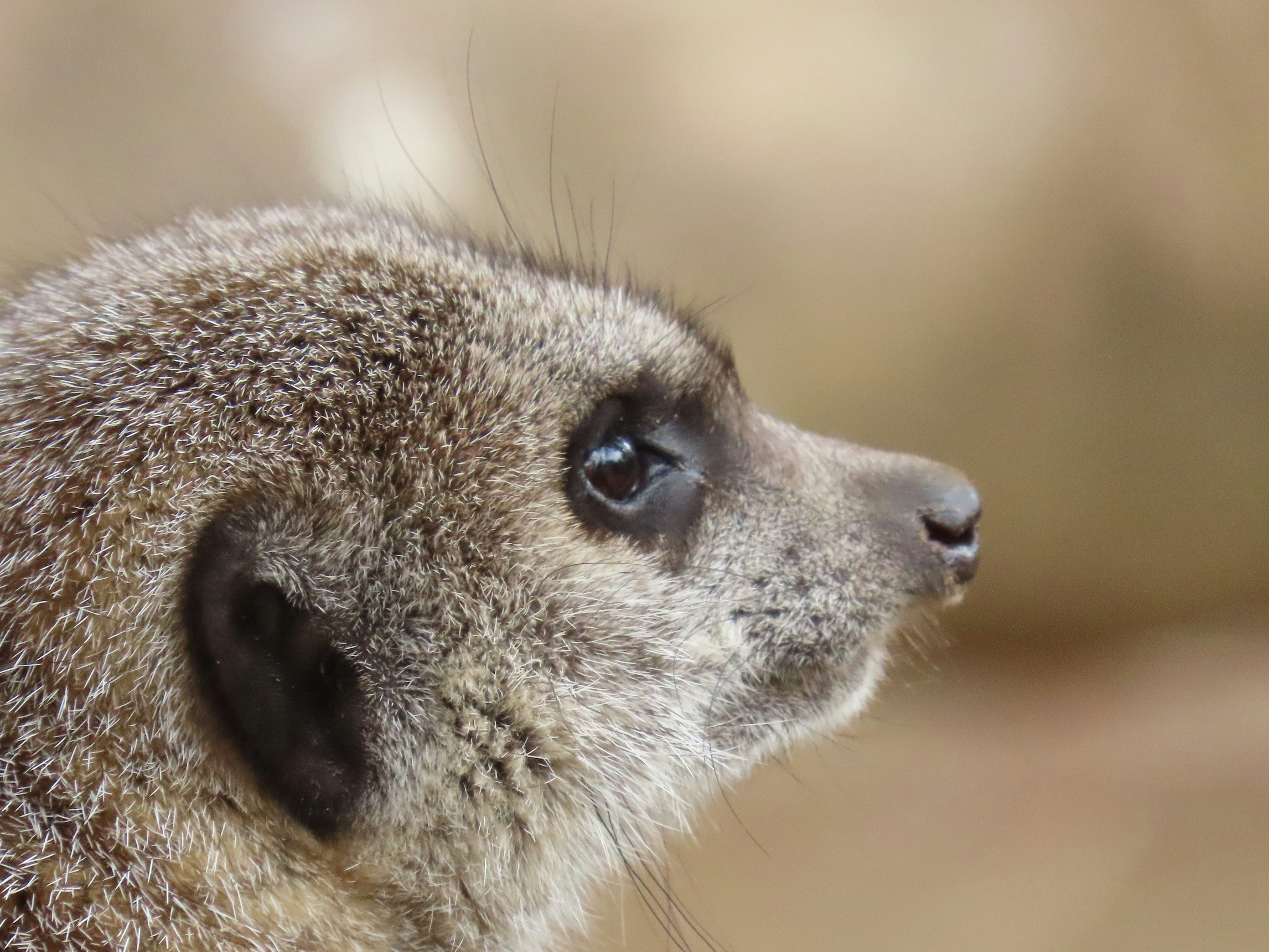 Photo by tjdecadence