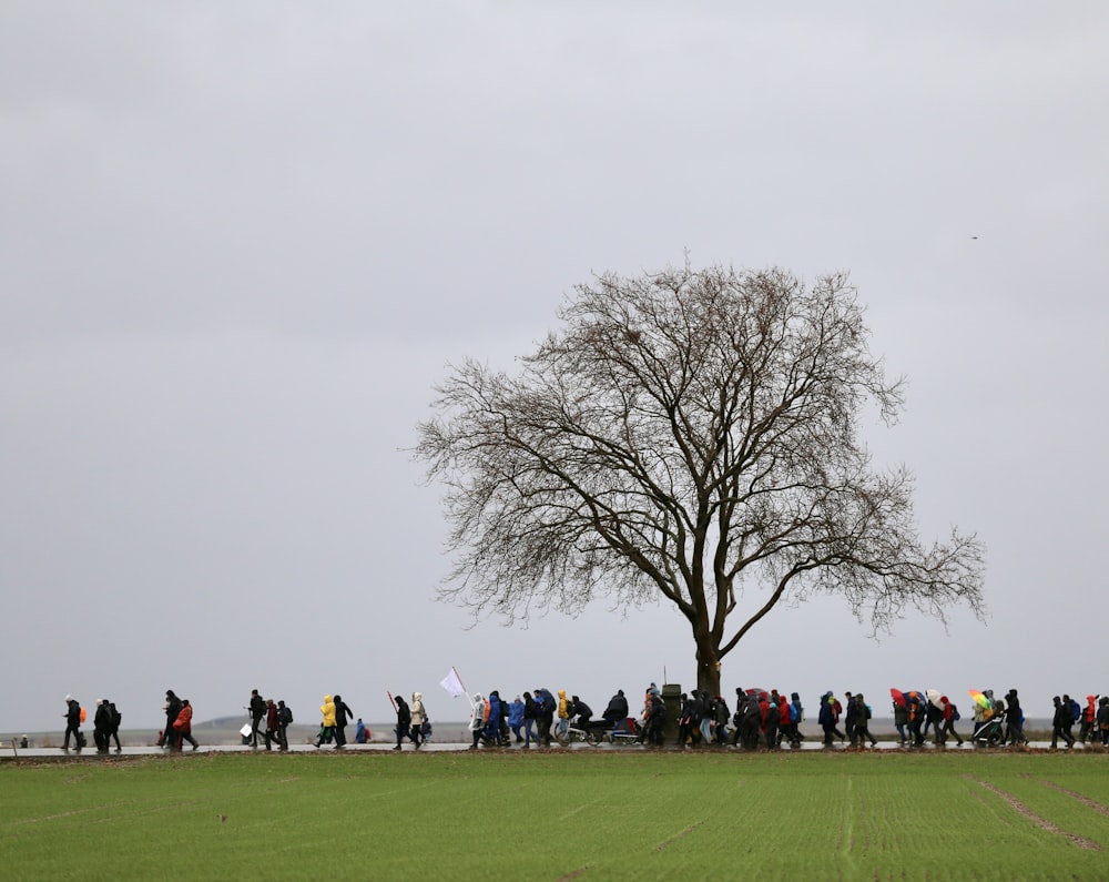 a large group of people standing around a tree