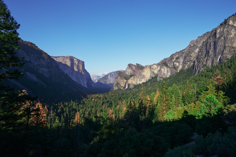 a view of a valley with mountains in the background