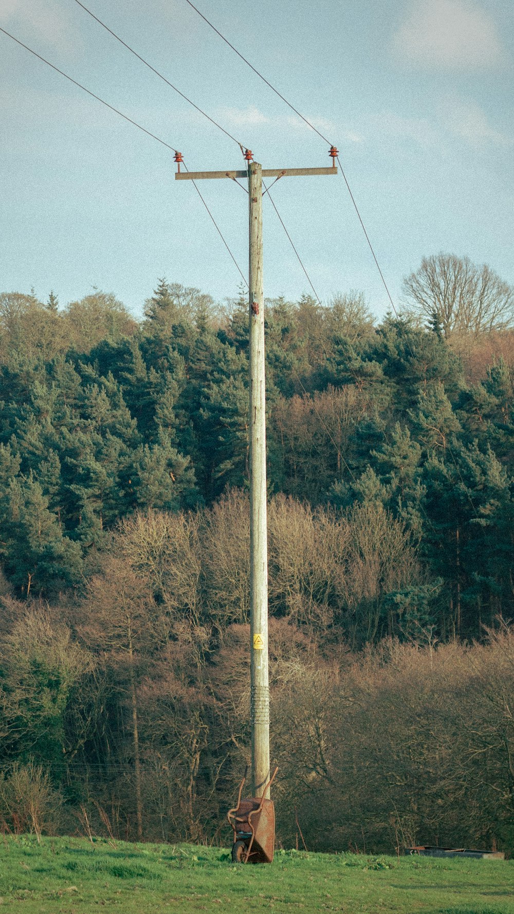 a telephone pole in a field with trees in the background