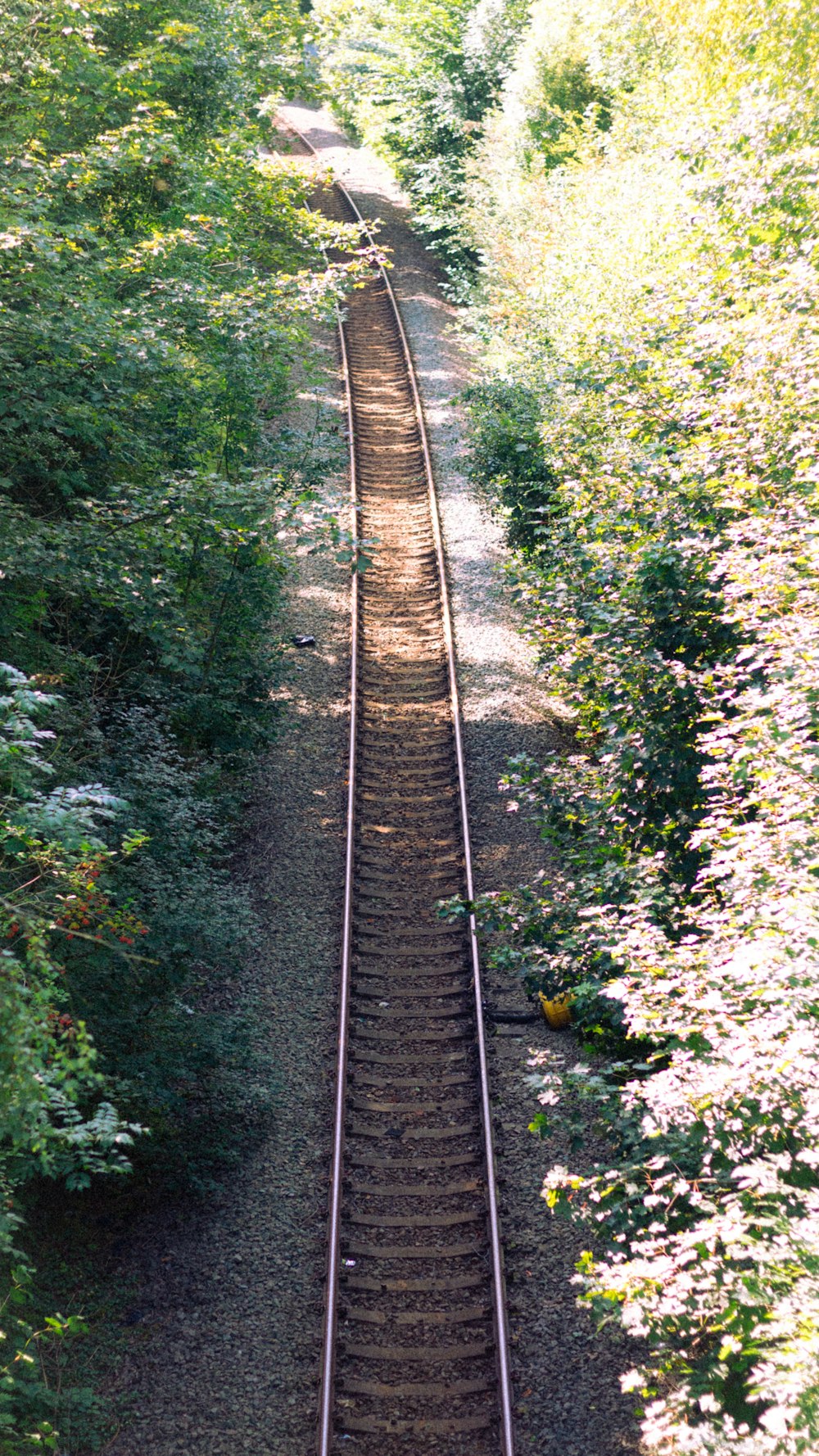 a train track in the middle of a forest