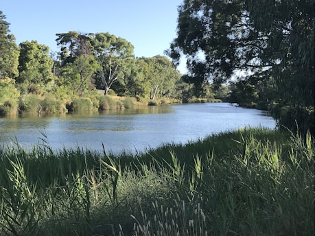 A serene river flowing gently through a lush green landscape under a clear blue sky.