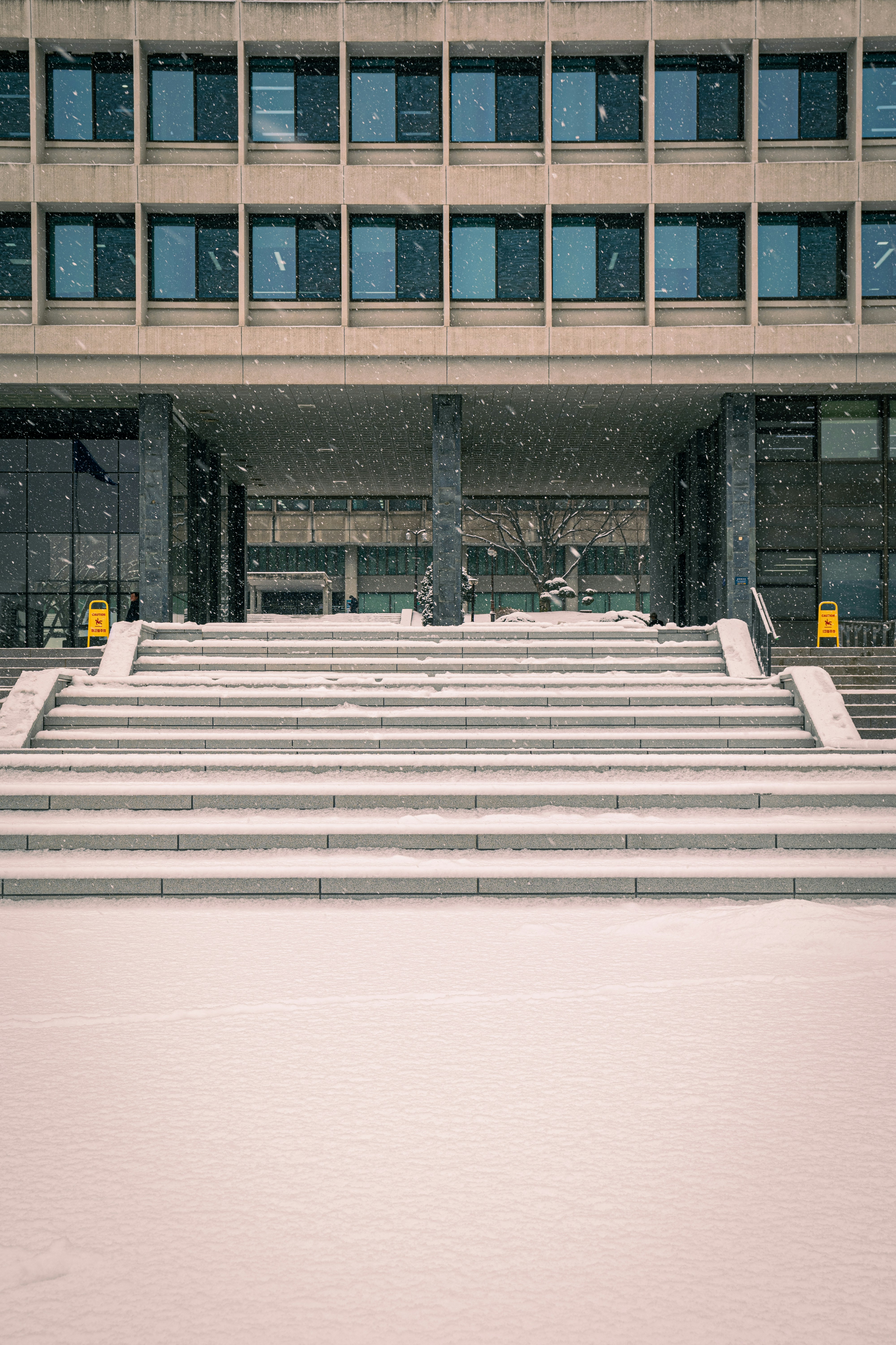 Thông báo tuyển sinh học bổng học kỳ 1 năm 2025 - Quỹ Văn hóa Daesang