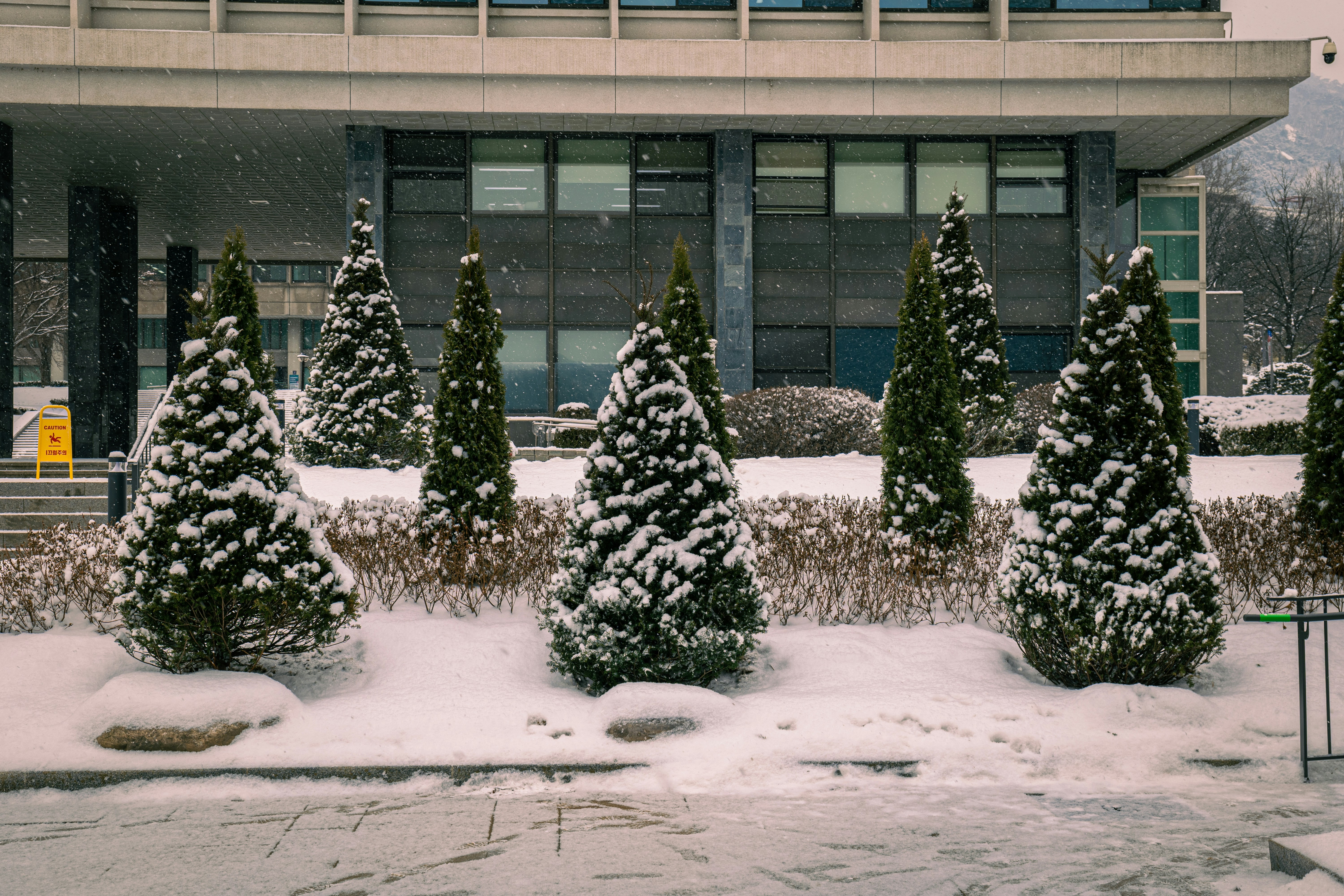 Photo by brother_yoon