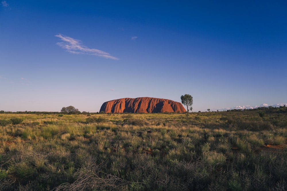 a large rock in the middle of a field