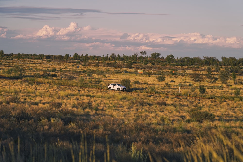 a van is parked in the middle of a field