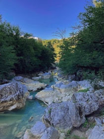 A serene natural landscape featuring a rocky riverbed with clear water flowing through it. Surrounding the river are lush, dense green trees, set against a bright blue sky. The rocks in and around the river vary in size and are light gray with some moss.