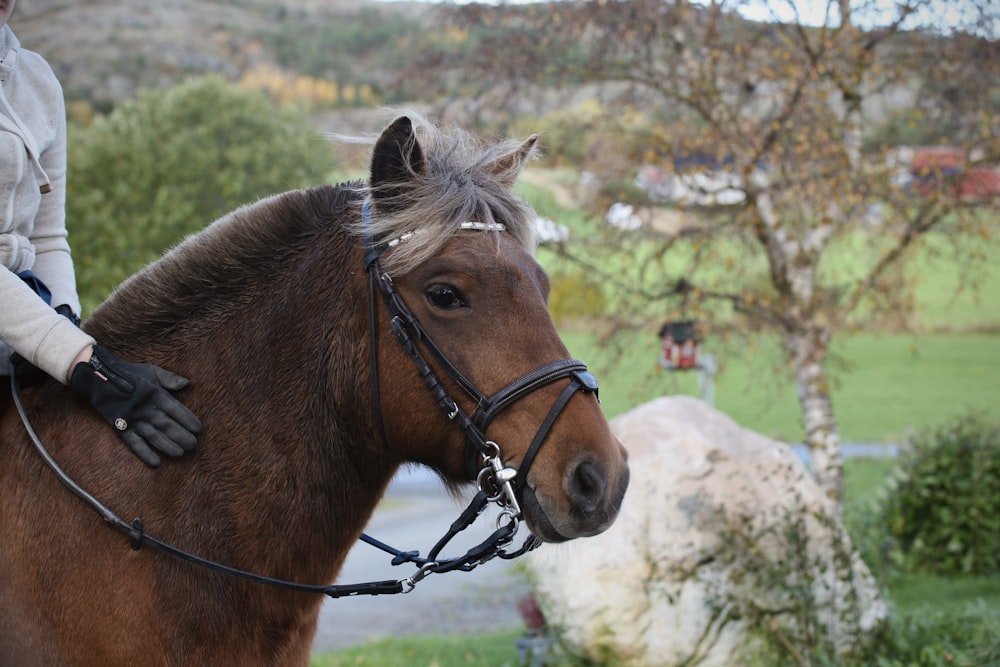 a woman riding on the back of a brown horse