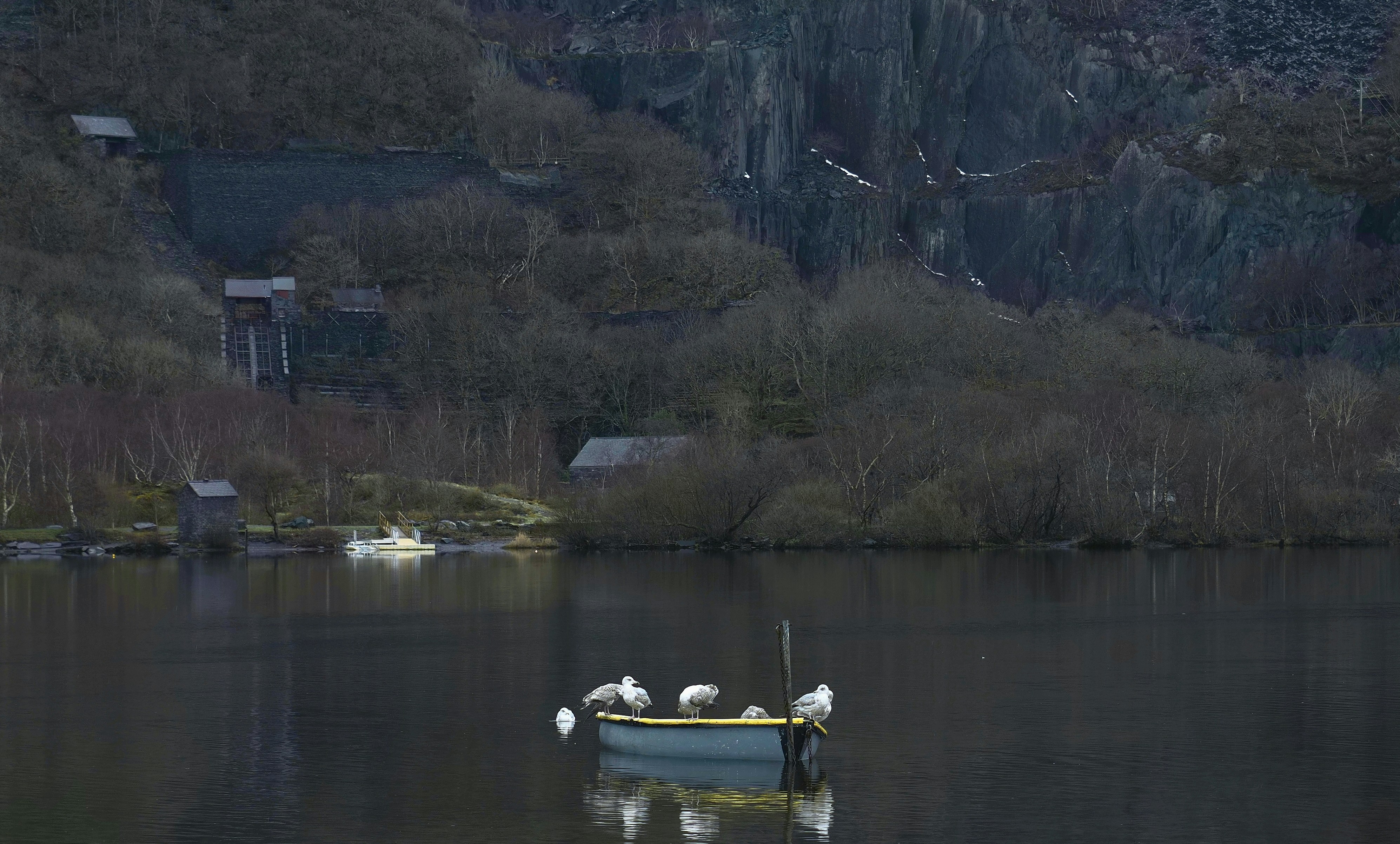 The Kisumu Quarry Killings: Why Four Brothers Died for Corporate Profit