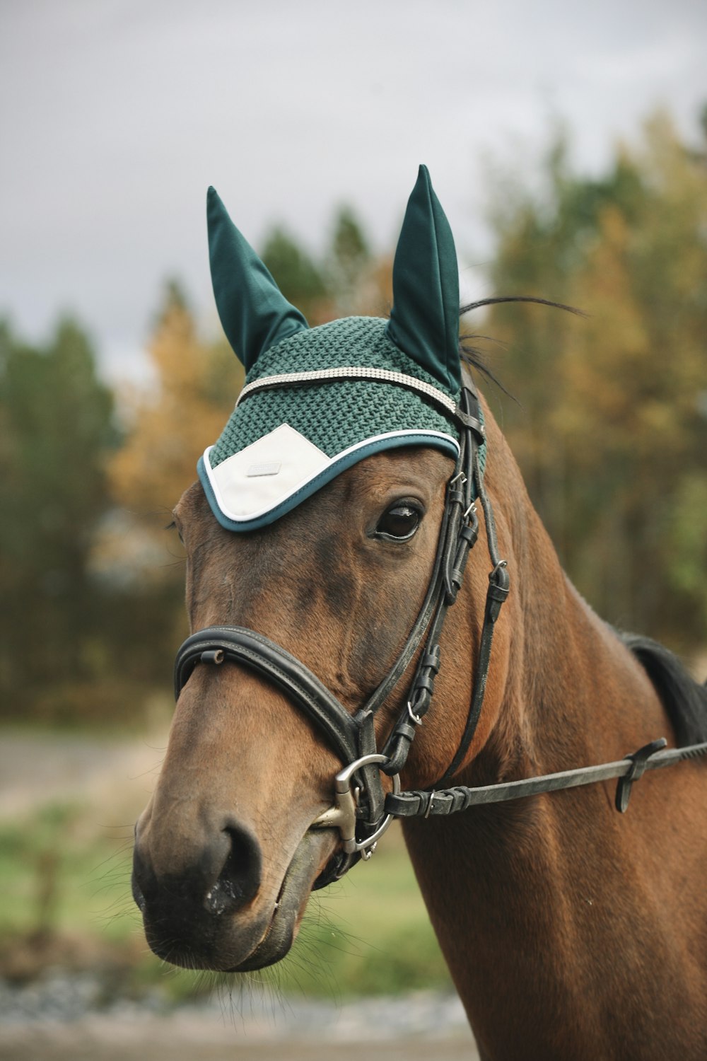 a brown horse with a green hat on it's head