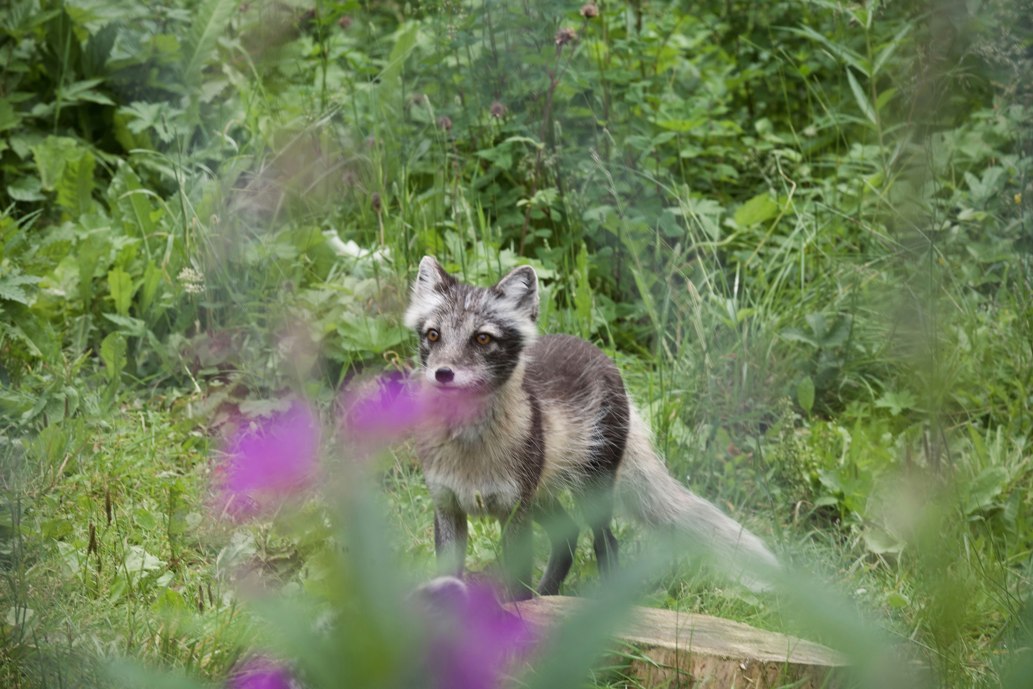 Photo by kristinokarlsen