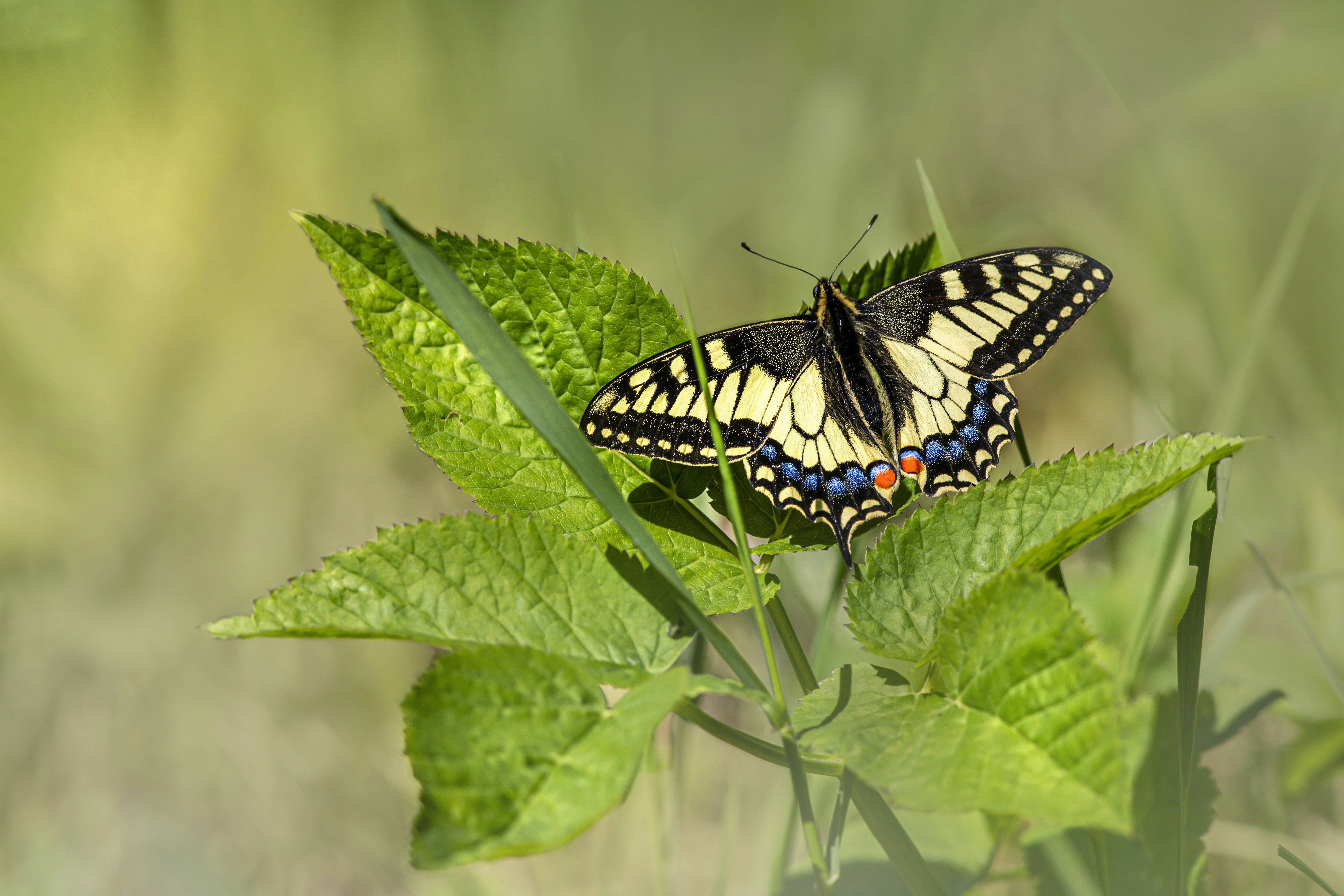 Photo by erik_karits