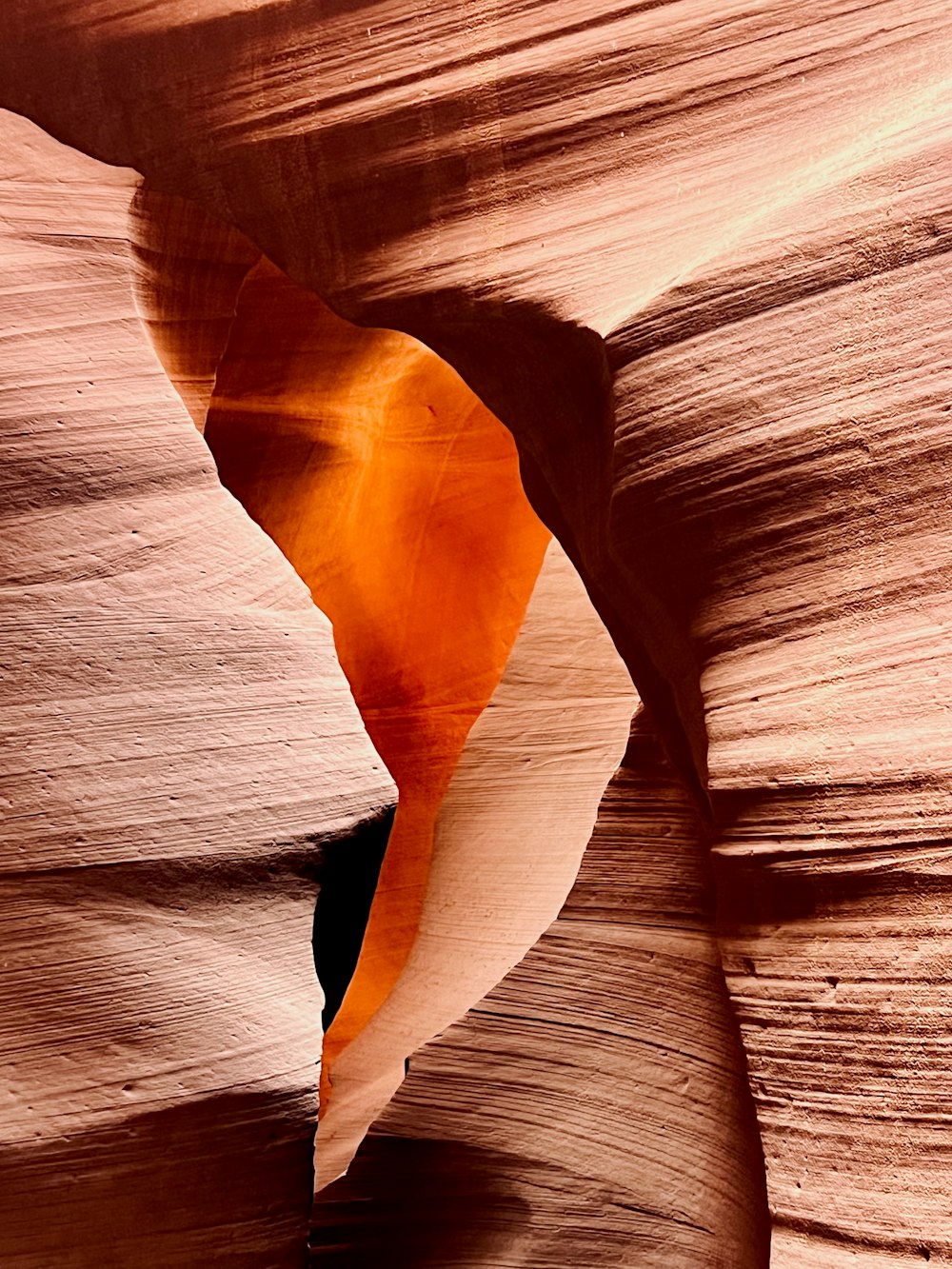 a rock formation in the desert with a single orange leaf