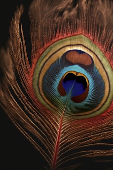 a close up of a peacock's feathers tail