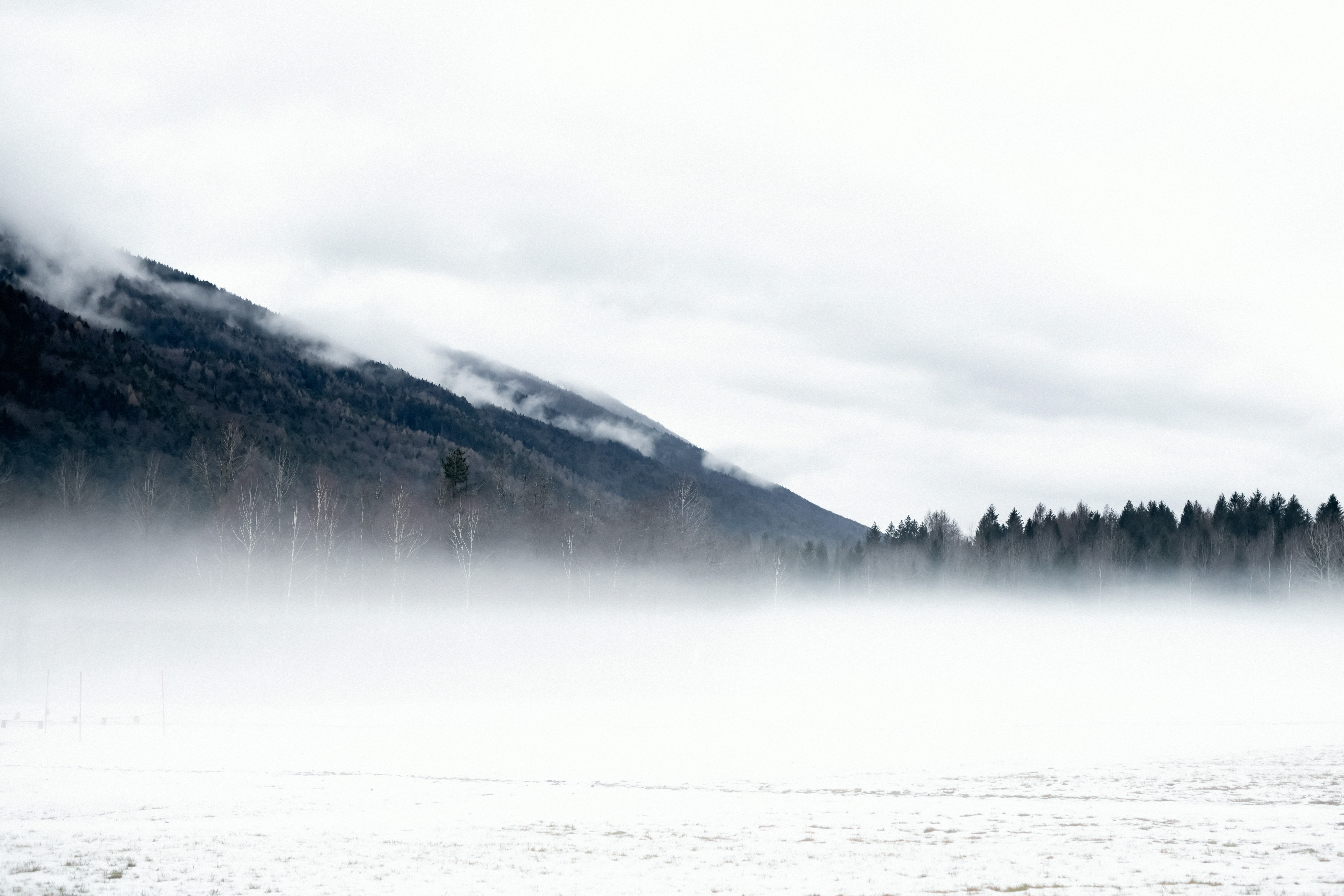 Photo by lauraadaiphoto