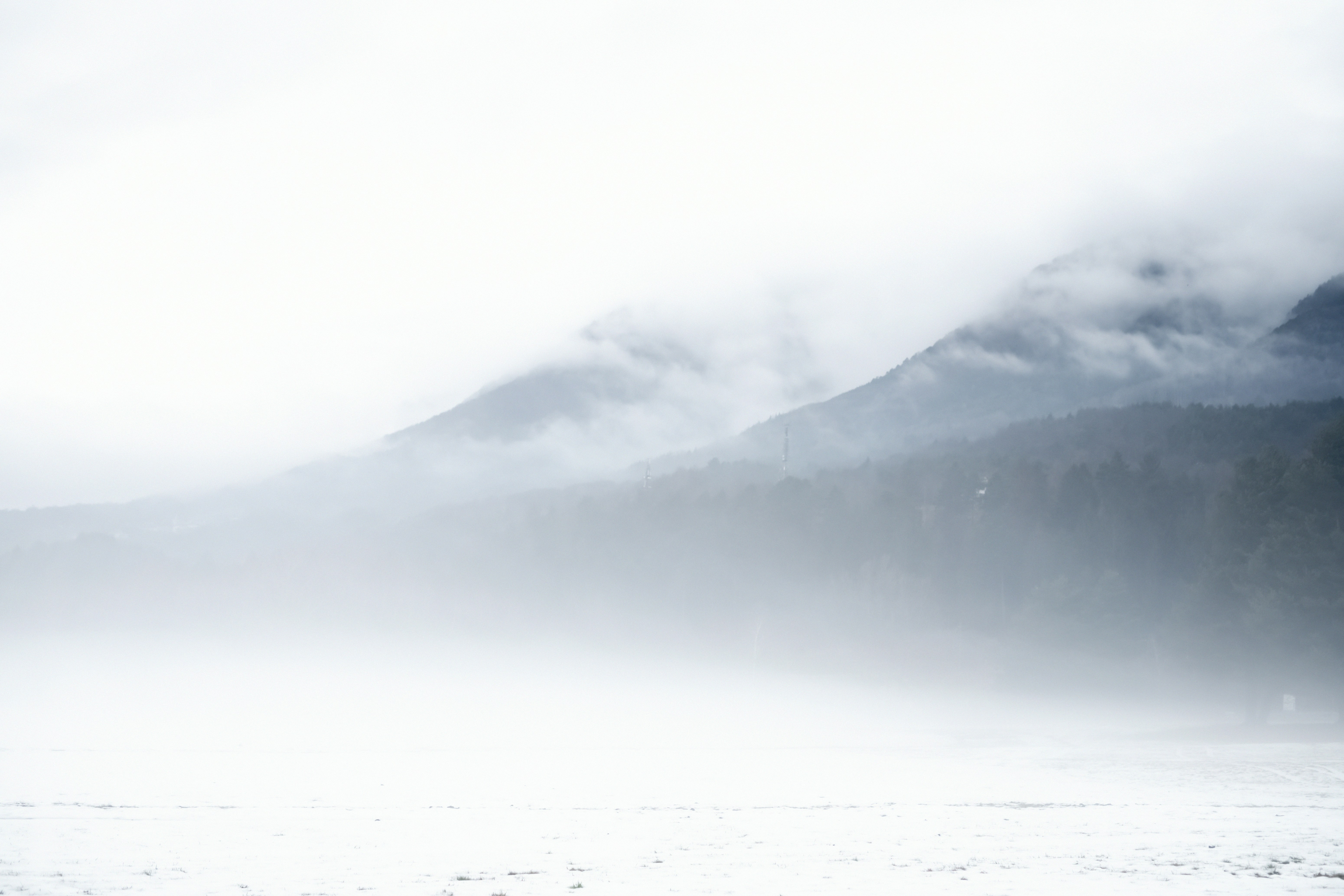 Photo by lauraadaiphoto