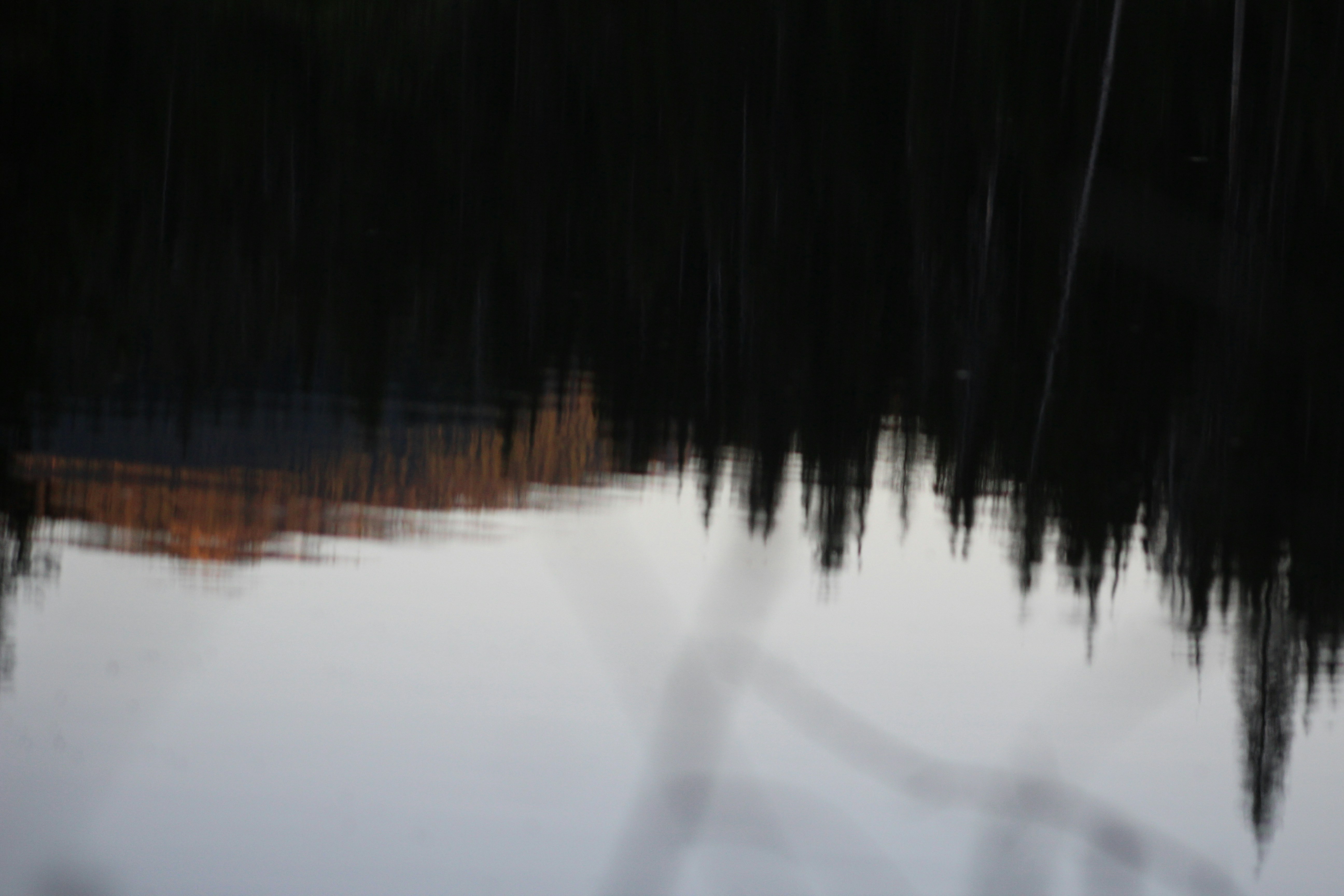 Photo by photoswithgabe