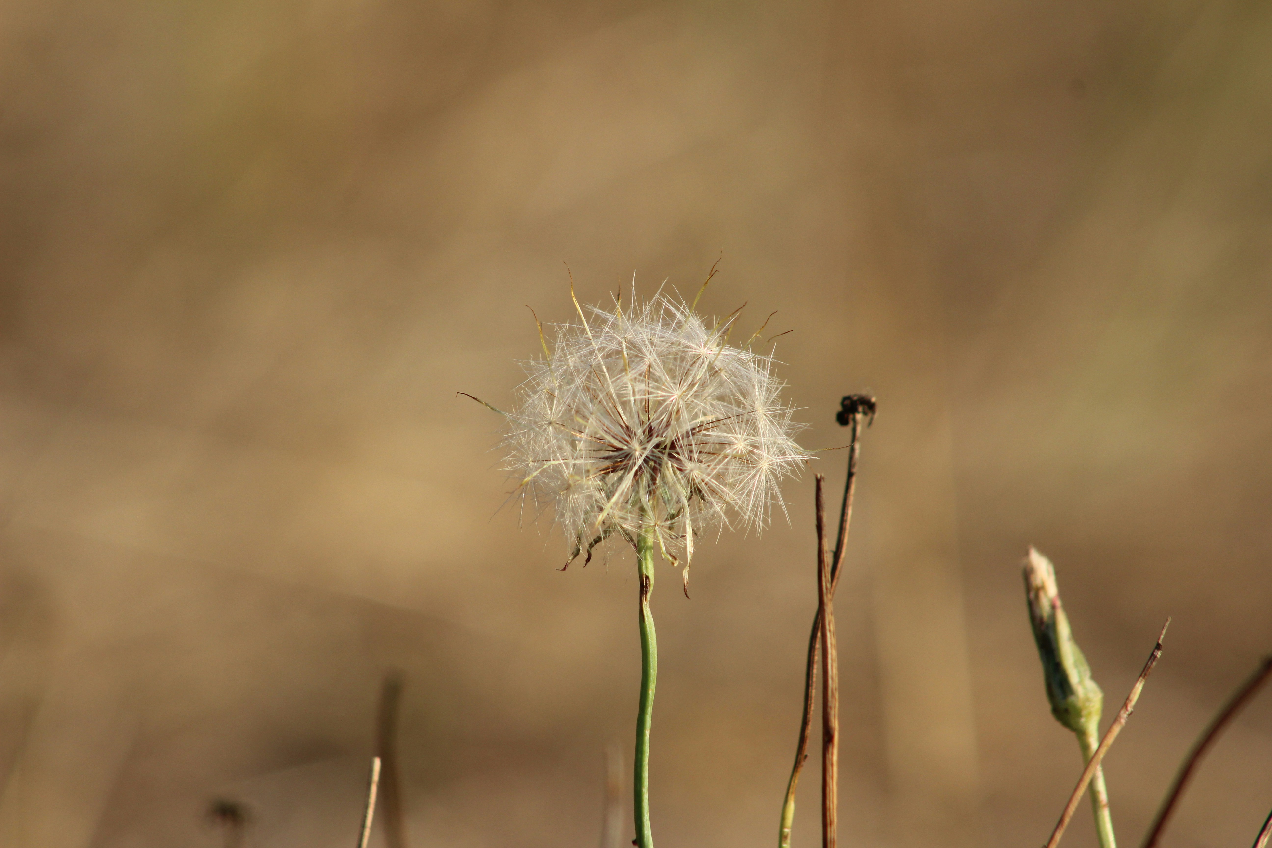 Photo by photoswithgabe