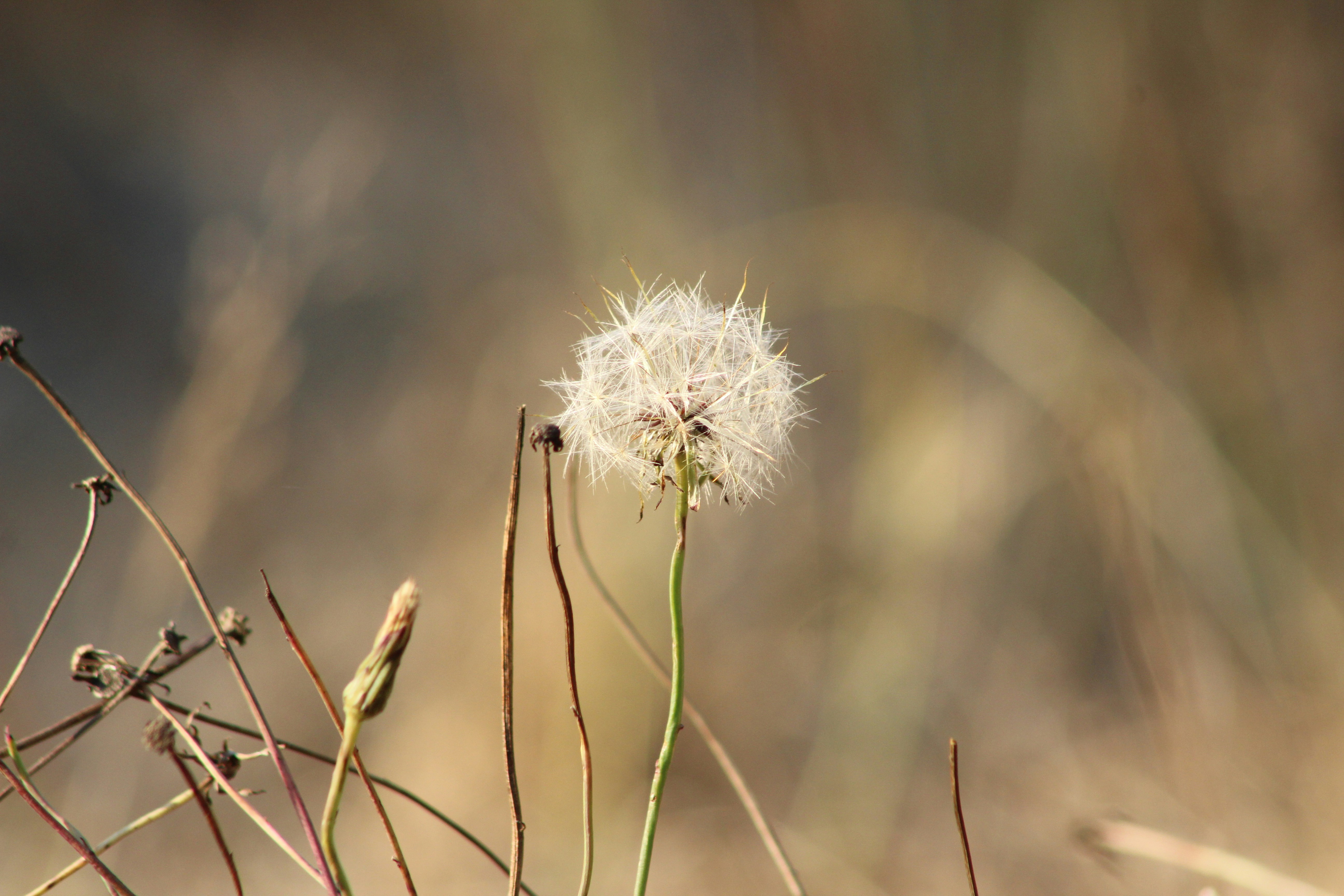 Photo by photoswithgabe