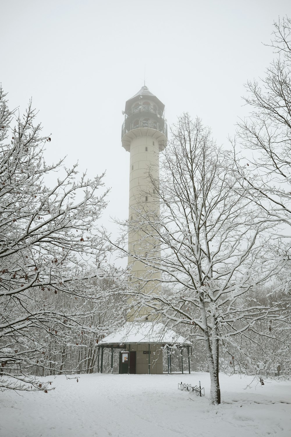 a light house in the middle of a snowy forest